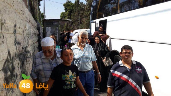 maqased bayareq (16).JPG